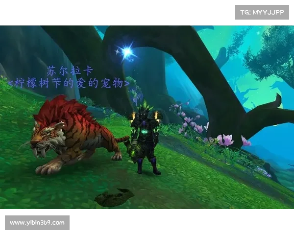 魔兽世界猎人:宠物视角切换攻略